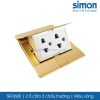 SEF3600 Simon ổ cắm âm sàn gồm 2 ổ cắm 3 chấu thường màu vàng
